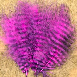 GRIZZLY MARABOU pink fluo / black barred